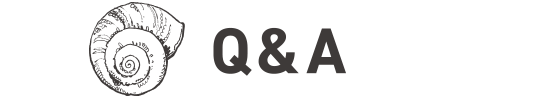 Q&A